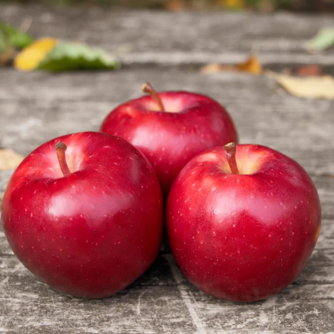 Apples Dazzle TZ per Kg