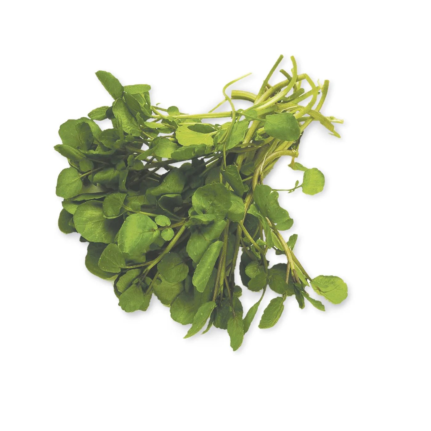 Watercress punnet 120g